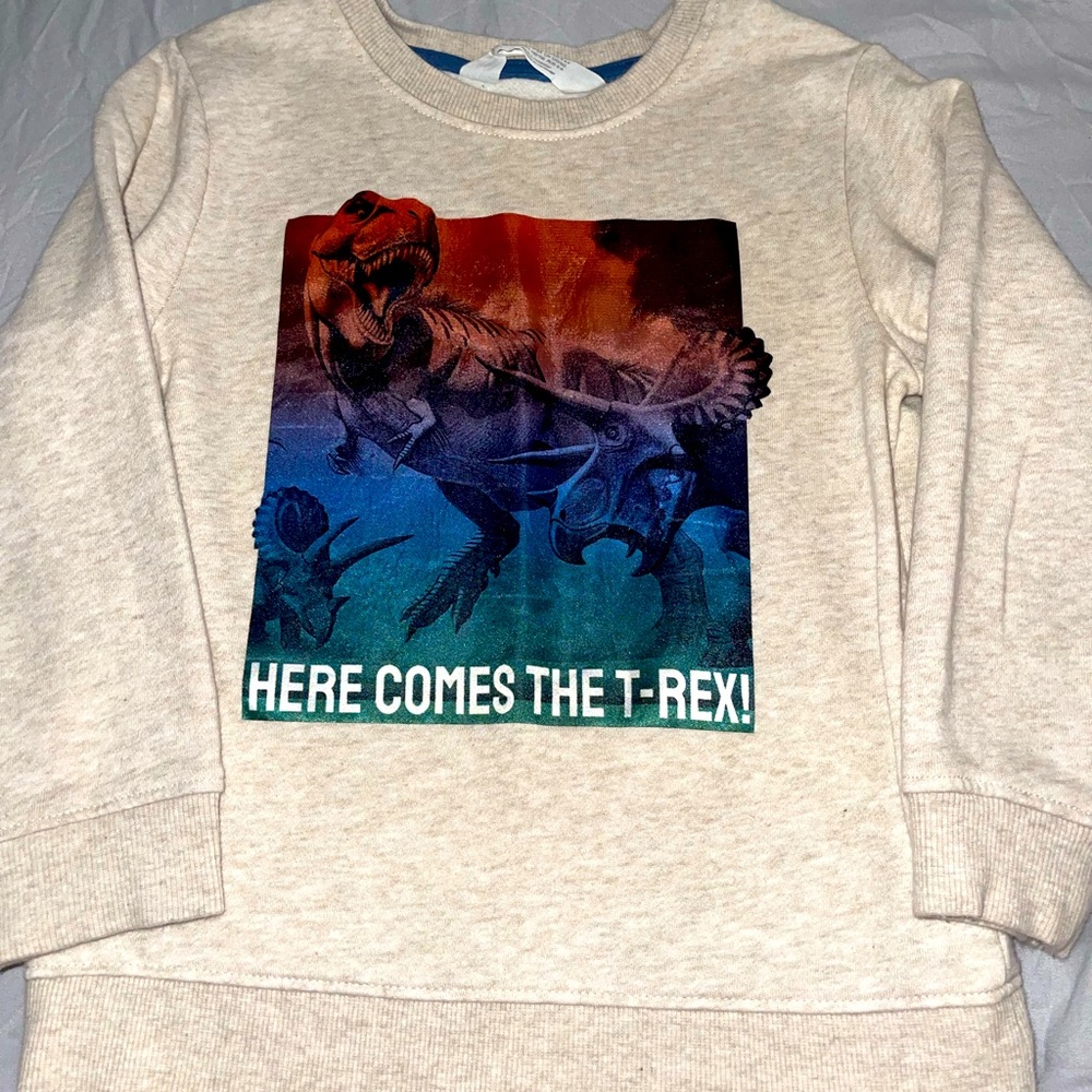 H&M boys dinosaur sweater